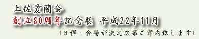 �y��������/�n��80���N�L�O�W