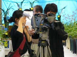 NHKޕi
