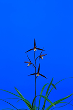 mVВ܁i썪j